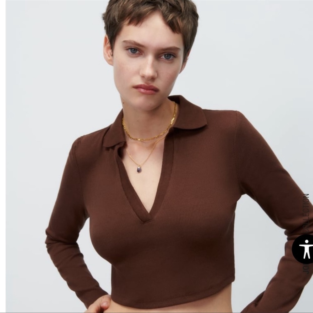 Zara Long Sleeved Crop Top